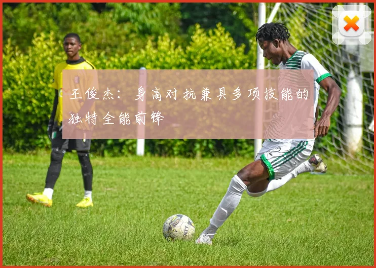 王俊杰：身高对抗兼具多项技能的独特全能前锋