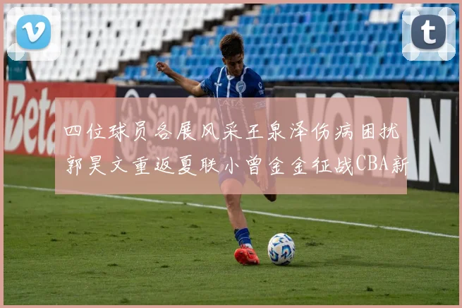四位球员各展风采王泉泽伤病困扰郭昊文重返夏联小曾金金征战CBA新赛季