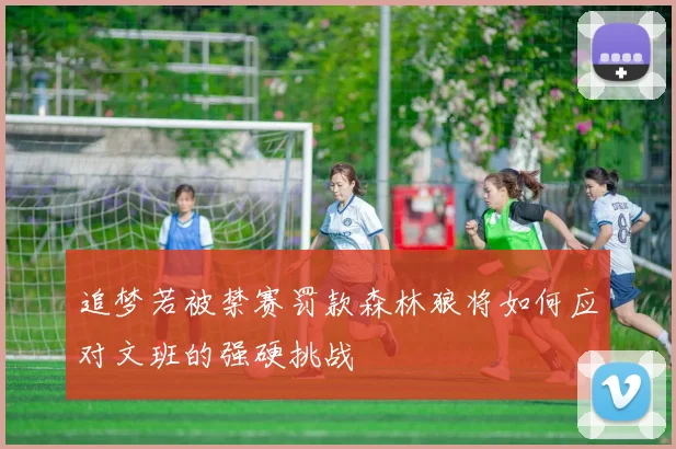 追梦若被禁赛罚款森林狼将如何应对文班的强硬挑战