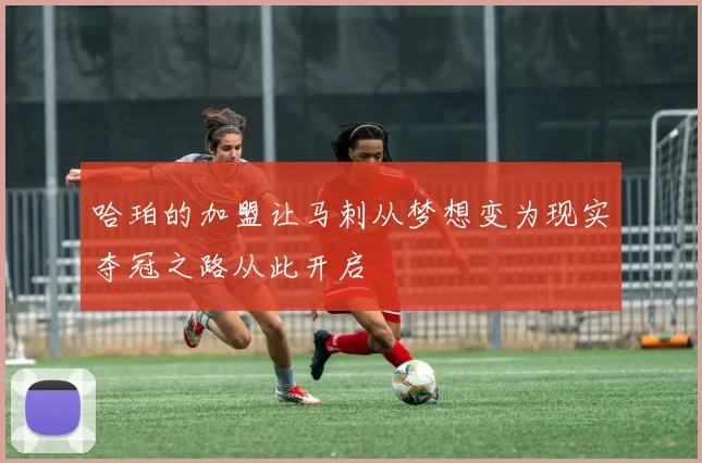 哈珀的加盟让马刺从梦想变为现实夺冠之路从此开启