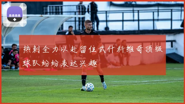 热刺全力以赴留住武什科维奇顶级球队纷纷表达兴趣